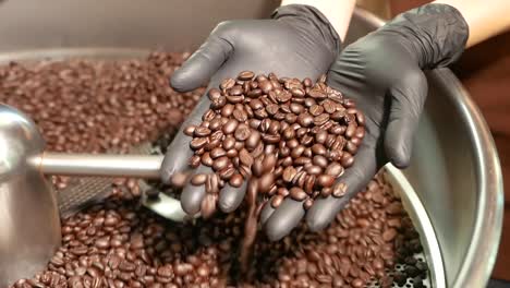 Footages-Of-The-Processes-Of-Coffee-Roasting-With-The-Coffee-Roaster