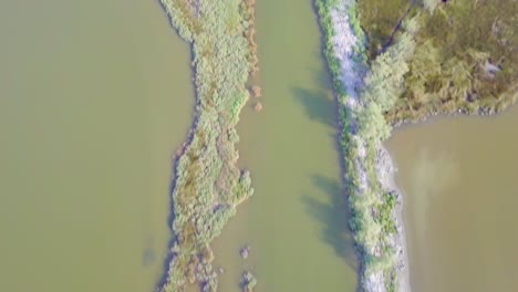 Drohnenflug-über-Sümpfe-Und-überschwemmte-Felder