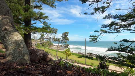 Looking-through-pine-trees-to-the-beach-and-ocean-view-at-Mooloolaba-on-the-Sunshine-Coast,-Queensland