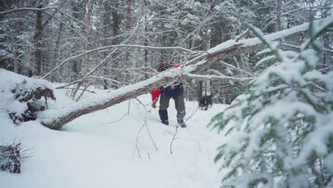 Norwegian-Backpacker-With-Husky-Dog-Trek-On-Forest-Covered-With-Deep-Snow