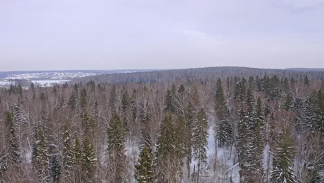 Aerial-View-Of-Snowbound-Forests-In-Winter-Season