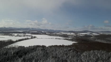 Drohnenschuss,-Der-über-Schneebedeckte-Felder-Und-Wälder-In-Hokkaido,-Japan,-Fliegt