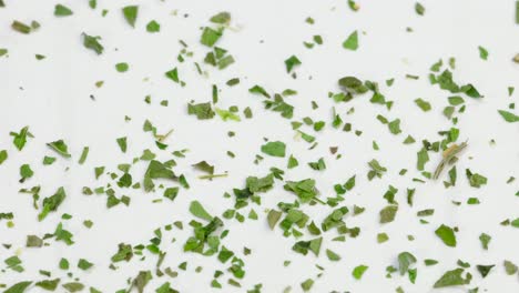 Chopped-green-parsley-falling-in-white-background-close-up,-macro-shot