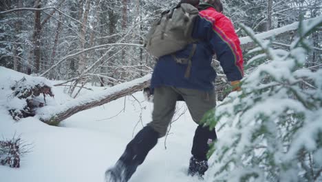 Hombre-Con-Caminata-De-Perro-En-El-Sendero-Nevado-Bloqueado-Por-árboles-Caídos-En-Invierno-En-El-Bosque
