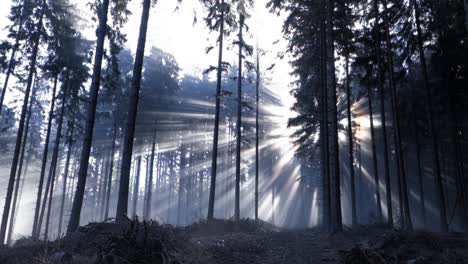 Sun-rays-shining-through-the-trees-in-Moravskoslezske-Beskydy-with-Vysoky-Rykali-peak