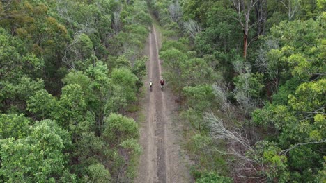 Two-cyclists-riding-down-rail-trail-through-lush-Australian-forest