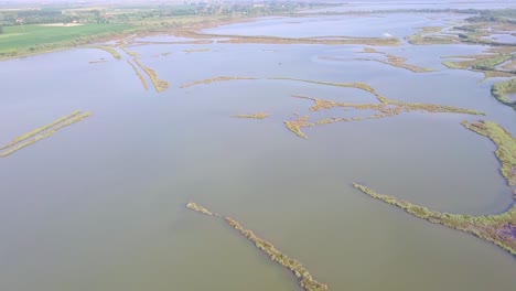 Drone-flight-over-swamps-and-flooded-fields