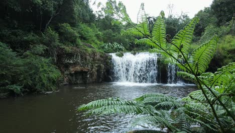 Ein-Einzigartiger-Blick-Auf-Einen-Kleinen-Tropischen-Wasserfall-Und-Ein-Schwimmloch,-Eingerahmt-Von-Einem-üppig-Grünen-Baumfarn