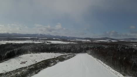 Hermosa-Toma-Aérea-De-Bosques-Y-Campos-Cubiertos-De-Nieve-En-Hokkaido,-Japón