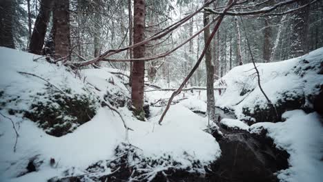Schmaler-Bach-Durch-Den-Bergwald-Im-Winter
