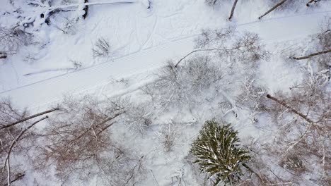 Fliegen-über-Verschneiten-Wald-Und-Landstraße-Zwischen-Bäumen