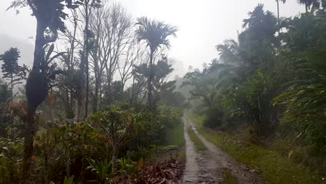 Heavy-rain-downpour-with-water-drops-running-down-and-distorting-the-camera-lens-in-the-remote-tropical-rainforest-of-Papua-New-Guinea