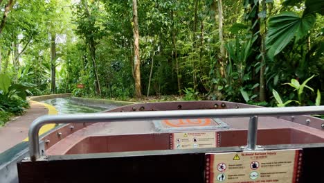 POV-handheld-shot-of-Amazon-River-Quest-water-ride-at-Singapore-river-wonders,-safari-zoo,-mandai-reserves-capturing-beautiful-lush-green-vegetations-and-foliage-environment-with-sunlight