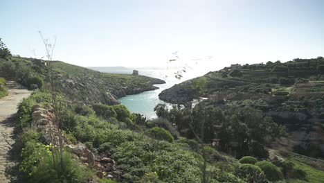 Walking-on-Top-of-Magrr-Ix-Xini-Bay-Cliffs-near-Beautiful-Calm-Mediterranean-Sea