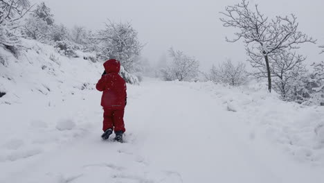 Four-year-old-boy-run-away-on-a-road-covered-of-snow,-in-countryside,-wearing-red-jacket,-looking-playful