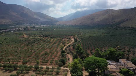 Täler-Und-Olivenbäume-In-Der-Landschaft-Von-Sizilien
