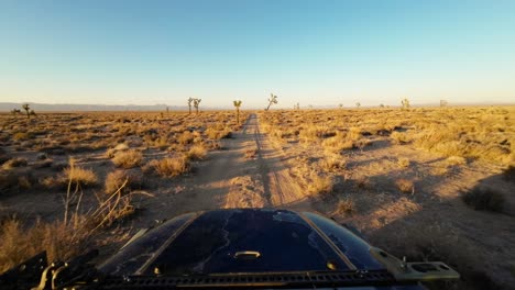 Fahrt-Durch-Einen-Joshua-Tree-Wald-In-Der-Mojave-Wüste,-Wobei-Die-Sonnengestrahlte-Motorhaube-Des-Fahrzeugs-Sichtbar-Ist