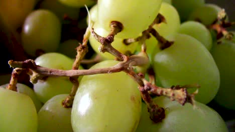 Close-up-of-fresh-green-grapes
