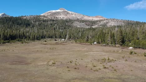 Drone-aerial-moving-backwards-over-Alpine-meadow-with-Cabins-surrounded-by-a-thick-forest