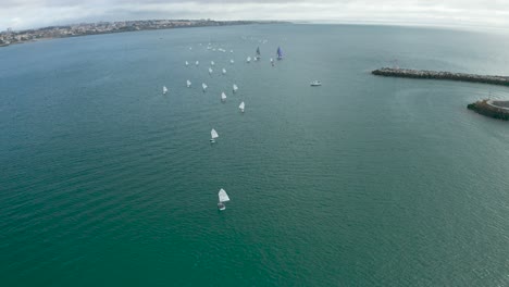 Aerial-flyover-optimist-boats-sailing-at-Cascais-sea,-Large-group-of-training-boats
