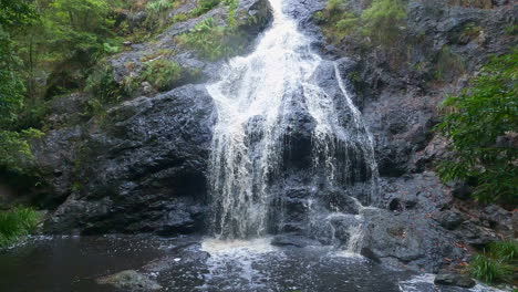 Schöner-Wasserfall---Naturbachbäume---Süßwasserlaufbach---Bach-Fließt-über-Felsen-Ins-Wasserloch---4k-Schleifenhintergrund---Gheerulla-Falls-Qld