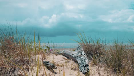An-angry-storm-begins-brewing-in-the-clouds-on-the-horizon-of-a-beach-at-low-tide-as-various-bushes,-flowers-and-dead-branches-lay-still-on-the-calmful-beach