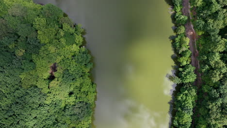 Luftaufnahme-Wald-Und-See-überblick
