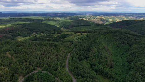 Aerial-view-forest-summer,-in-hungary