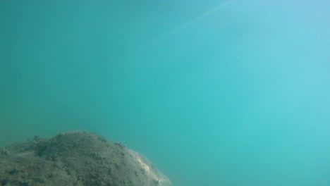 POV-with-action-cam-man-walking-inside-sea-and-diving-in