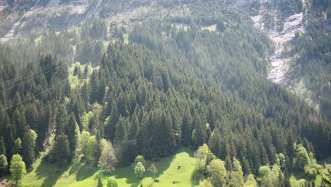 Atemberaubender-Zeitraffer-Von-Baumpollen-In-Einem-Föhnsturm-In-Grindelwald-In-Den-Schweizer-Alpen