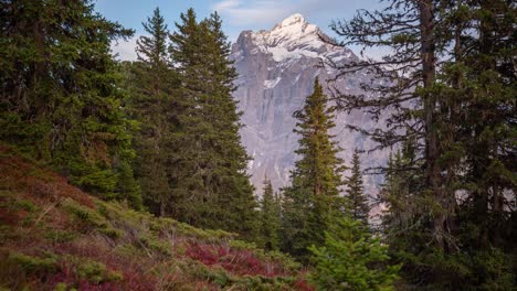 timelapse-of-Mount-Wetterhorn-surrounded-by-a-mystical-autumn-colorful-forest