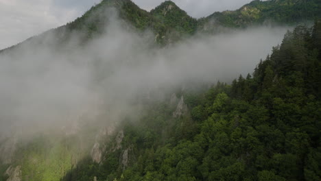 Misty-Clouds-On-Rocky-Mountains-With-Dense-Forest-In-Borjomi-Nature-Reserve,-Georgia