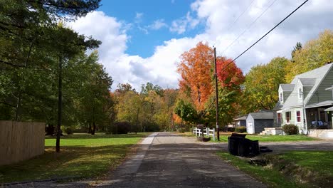 Walking-Peacefully-In-Street-Between-Autumn-Trees-Landscape