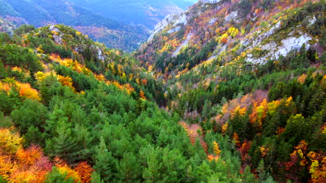Aerial-view-flying-back-into-the-autumn-trees-between-mountains-in-the-Spanish-Pyrenees