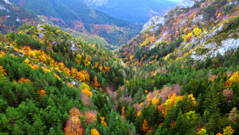 Aerial-view-flying-into-the-autumn-trees-between-mountains-in-the-Spanish-Pyrenees