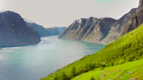 Aerial:-flying-above-the-sognefjord-from-a-mountainside