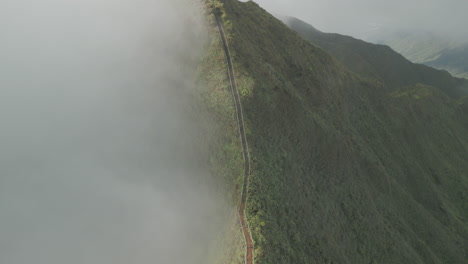 #hawaii-#stairs-#haiku-#ouha-#hike-#nature-#drone-#USA-#stairwaytoheaven
