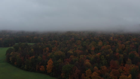 Im-Herbst-In-Den-Nebel-Treiben