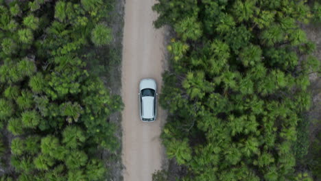SUV-driving-on-a-peninsula-traveling-through-green-Tulum-Mexico-top-down-shot
