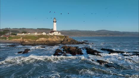 Pigeon-point,-pelicans,-lighthouse,-California