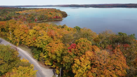 Aerial-drone-shot-rising-up-over-the-autumn-colored-tree-tops-to-reveal-a-beautiful-river-and-natural-landscape-scenery,-Canada