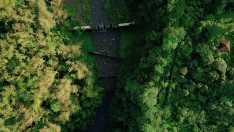 Overhead-drone-footage-of-trucks-at-the-bottom-of-a-large-dry-river-surrounded-by-trees