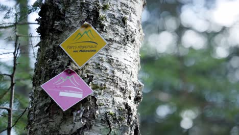 Hiking-Trail-Signs-Nailed-On-Tree-Trunk-In-Saint-Come,-Quebec,-Canada