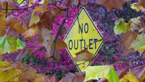 Close-up-Shot-Of-Colorful-Autumn-Leaves-Waving-In-Wind,-Yellow-Sign-In-Background