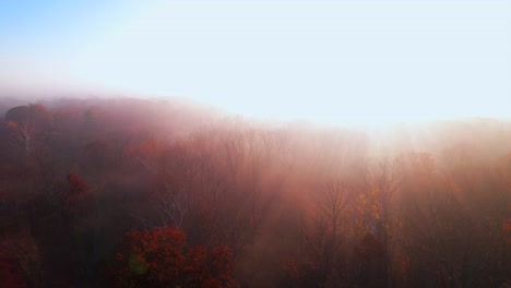 Aerial-flying-over-foggy-autumn-landscape-in-forest-at-dawn-towards-sunlight