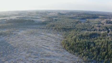Aerial-view-of-frozen-swamp-and-near-forest