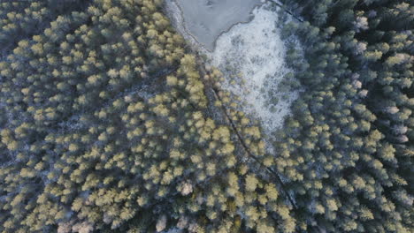 Birdseye-view-of-frozen-lake-in-forest