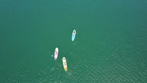 Aerial-footage-of-4-people-doing-paddleboarding-in-turquoise-water