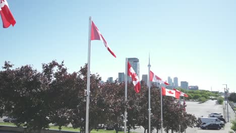 Pan-of-Canadian-flags