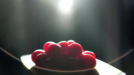 Tomatoes-in-haze-of-sunlight-tomatoes-fall-at-end